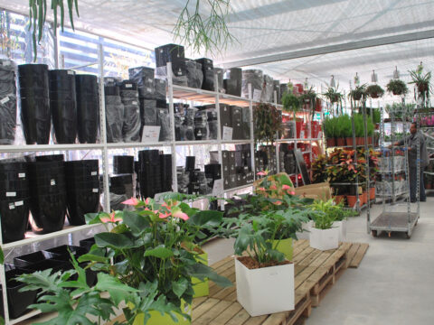 Jardinière